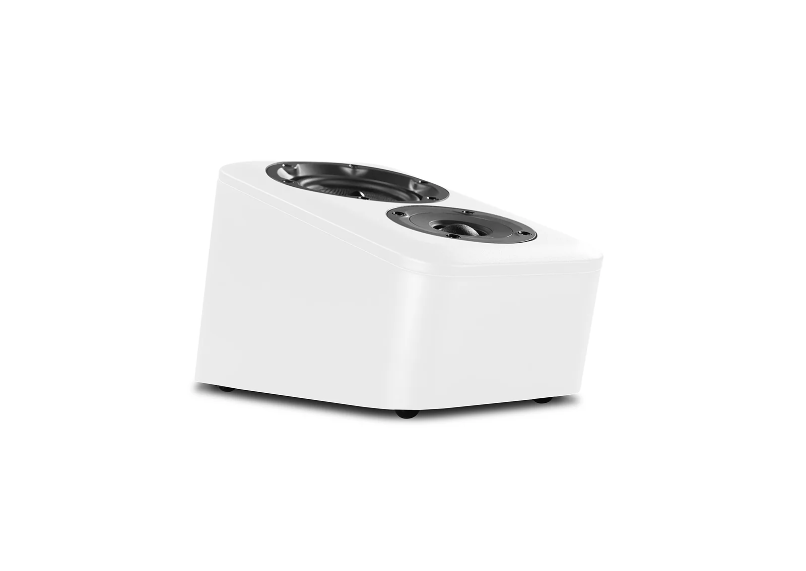 D300 Surround Speakers (Pair) - Image 11